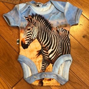 Inchworm Alley-Zebra